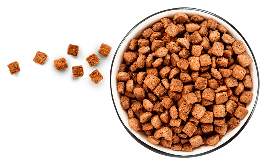 Insumos Alfapet Foods
